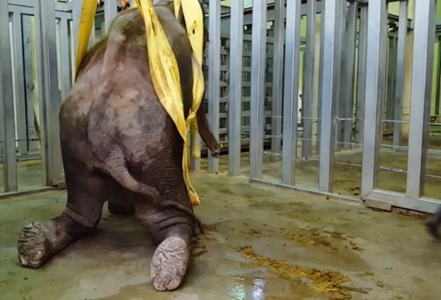 The Sad Saga Continues&hellip;